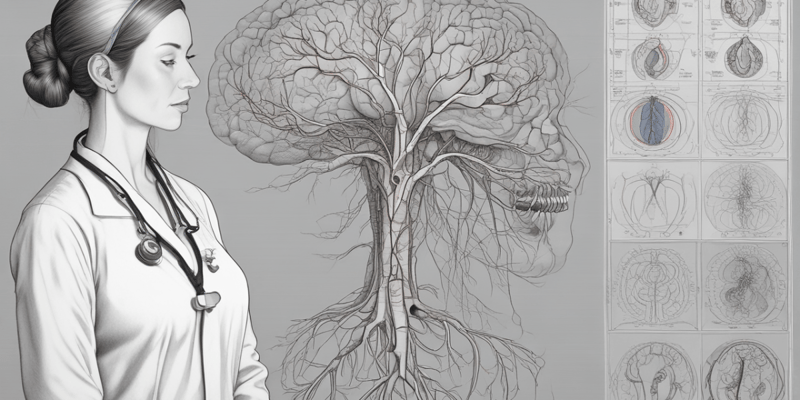 Med Surg Flashcards: Cerebral Angiogram