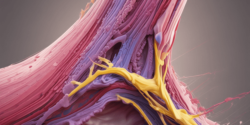 Muscle Tendon Junction Structure and Function