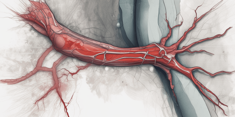 Post-Operative Complications: Deep Vein Thrombosis