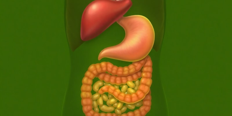 Bile and Biliary Secretion Quiz