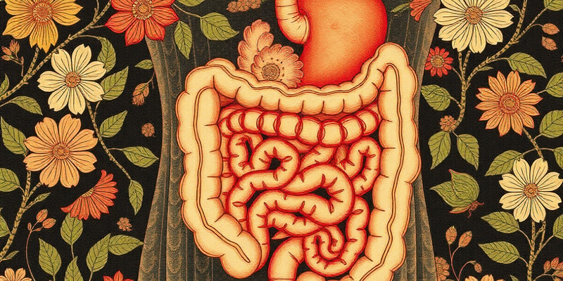 Digestive System Quiz