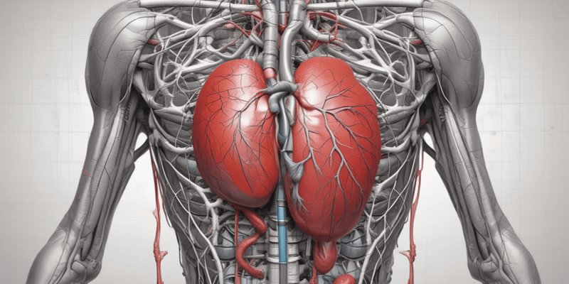 Anatomía y Fisiología del Sistema Cardio-Circulatorio