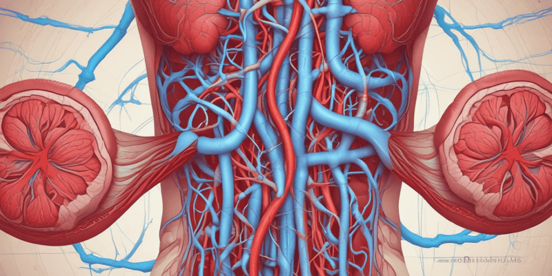 Circulatory System