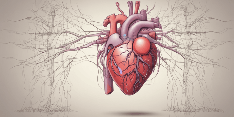 Anatomy LE 3: Heart and Mediastinum