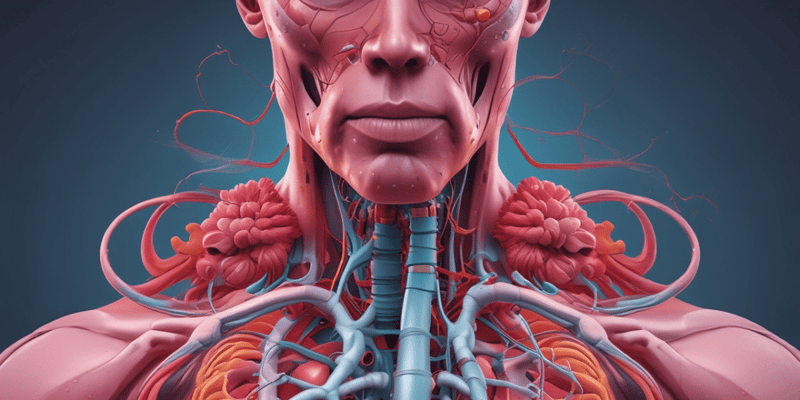 Respiratory System: Organs and Structures