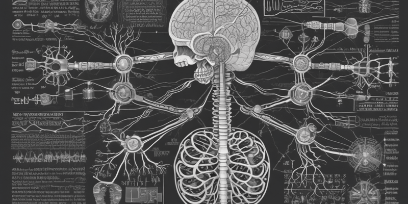 The Ultimate Nervous System Anatomy and Function Quiz