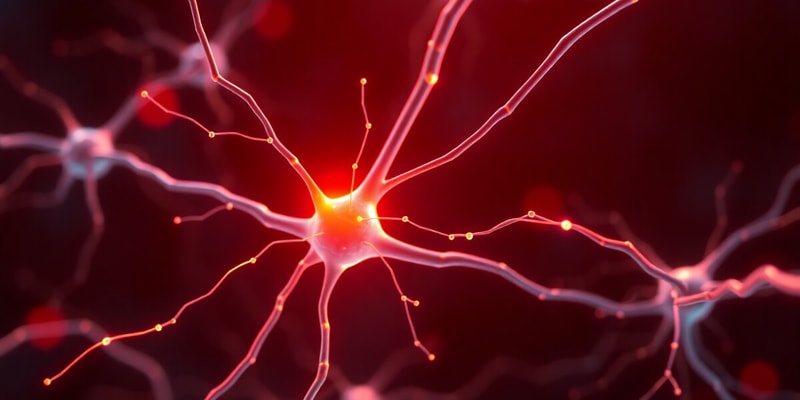 Nerve Impulses and Synaptic Transmission