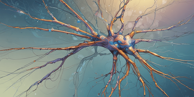 Neuroscience: Axo-Dendritic Synapse