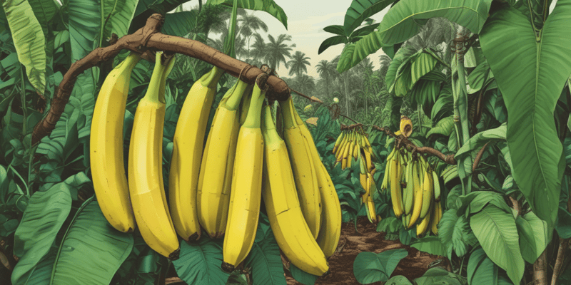 Sigatoka Negra: A Doença da Bananeira