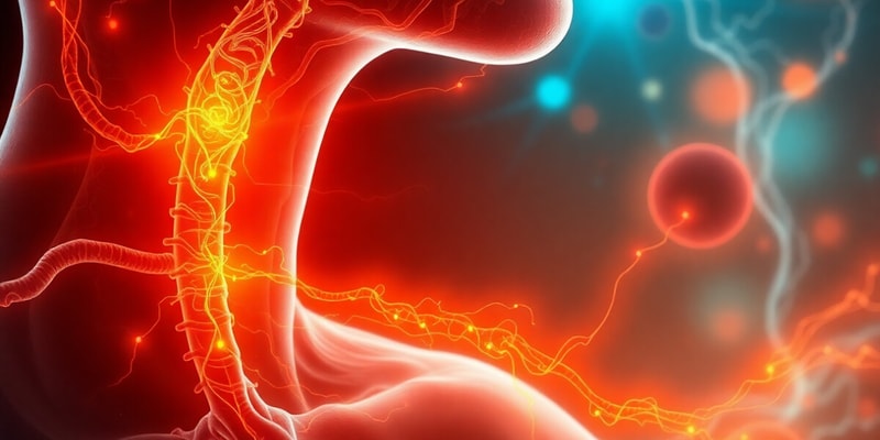 Endocrine System Overview