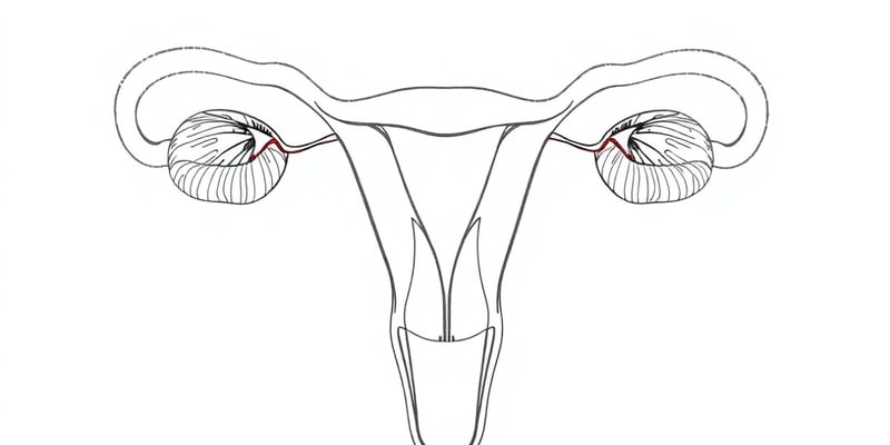 Reproductive, Urinary, & Endocrine Systems