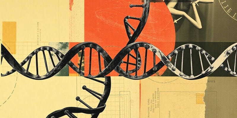 Structure and Function of DNA