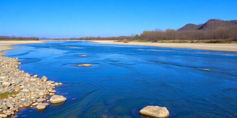 Rivers and Water Management Quiz