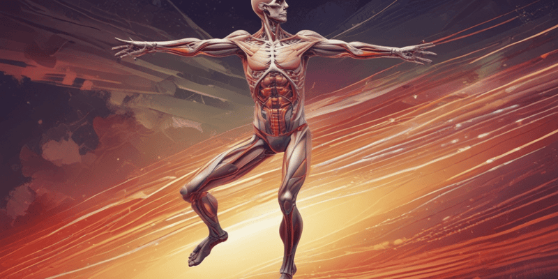 Anatomia umana: movimenti articolari