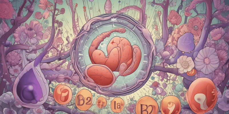 Absorción de B12 y Factor Intrínseco