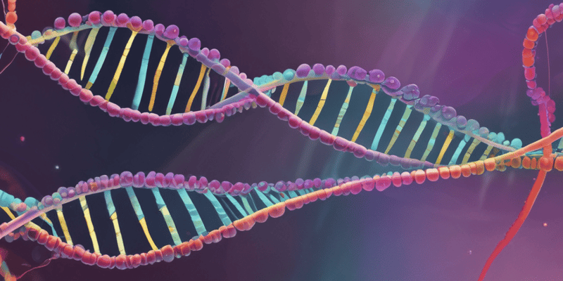 DNA Replication Errors