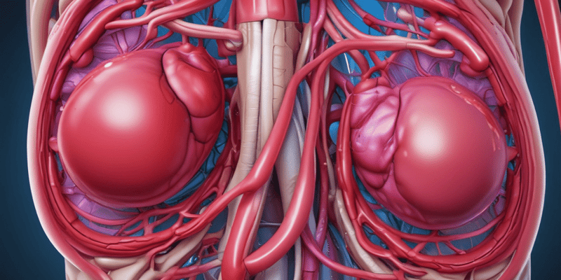 Structures and Functions of the Urinary System Quiz