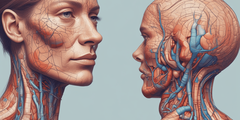 Skin Anatomy and Structure
