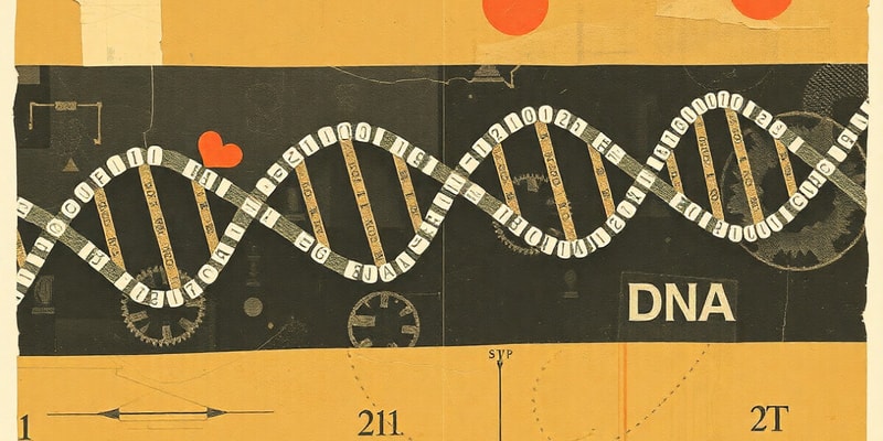 DNA Structure and Function Quiz