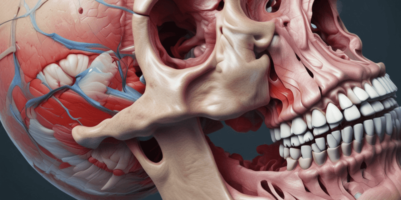 BMS 133: Nasal Cavity, Sinuses, and Pterygopalatine Fossa Bony Boundaries Quiz