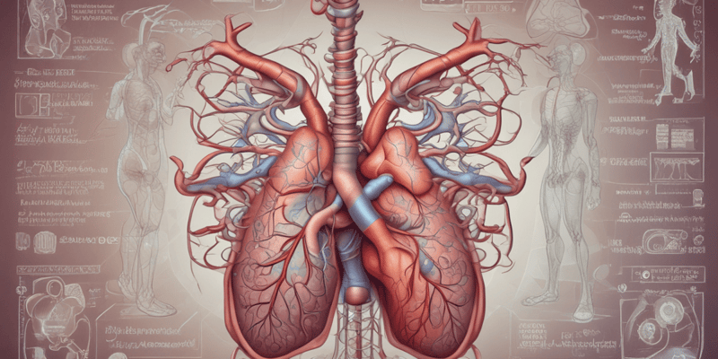 Cardiovascular and Respiratory System Quiz