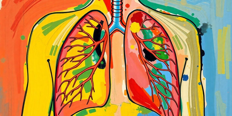 Biology Chapter: Respiratory System