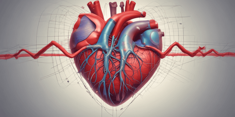 Electrocardiografía: Excitabilidad y Conducción del Corazón