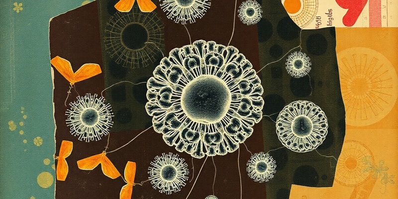 Prokaryotic vs. Eukaryotic Cells Quiz