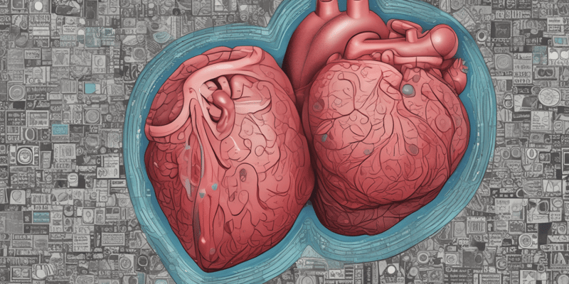 Mechanism of β-Blockers in Exertional Angina