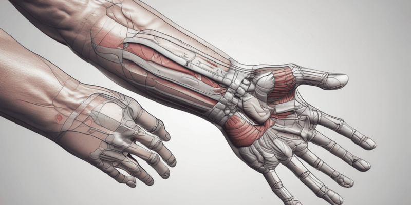 The Wrist Complex: Functions and Movements