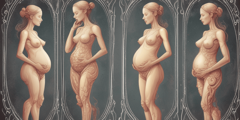 Pregnancy Stages and Development