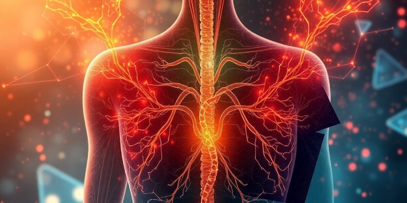 Endocrine System Overview