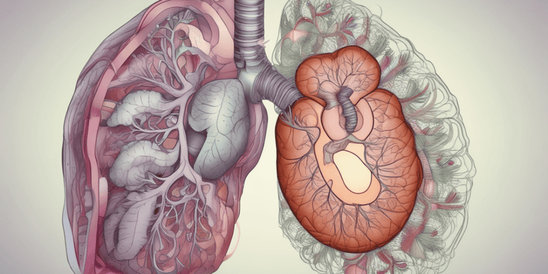 Abnormal Lung Sounds Quiz