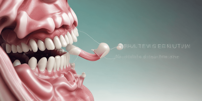 Dentistry: The Normal Periodontium and Gingiva