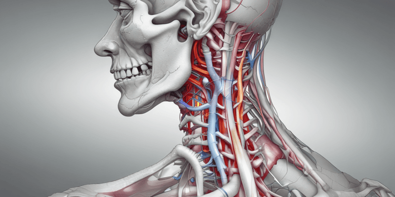 Cervical Facet Syndrome: Anatomy and Pathophysiology