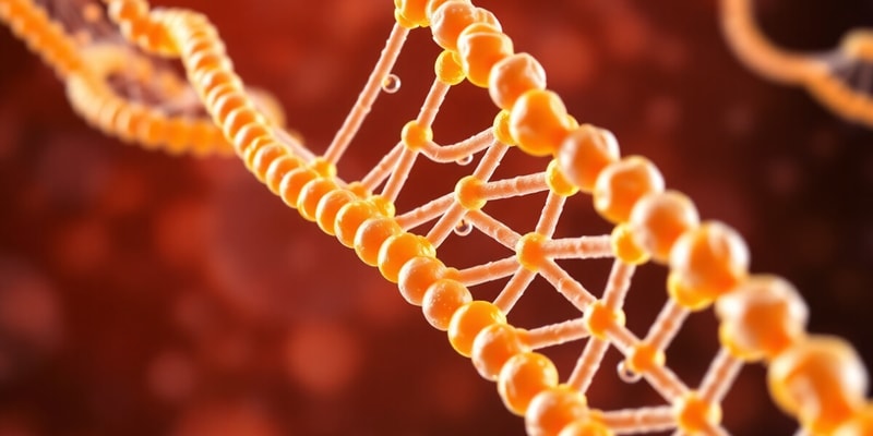 DNA Replication Mechanisms: L5-6