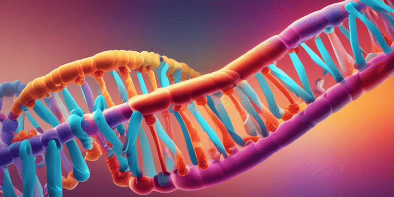 DNA and RNA Structure Quiz