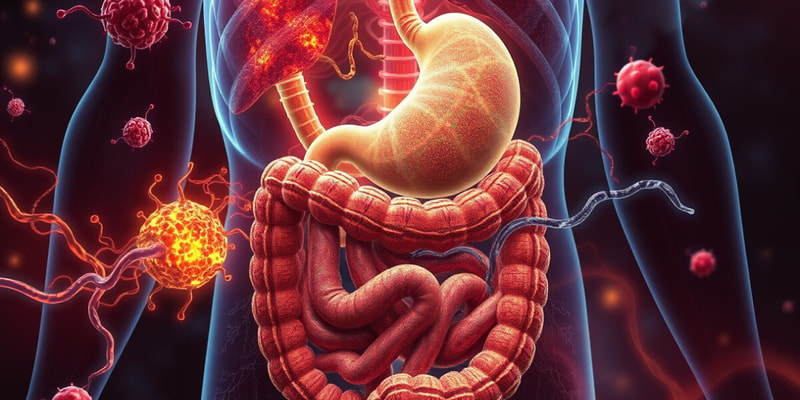 Digestive System and Its Components