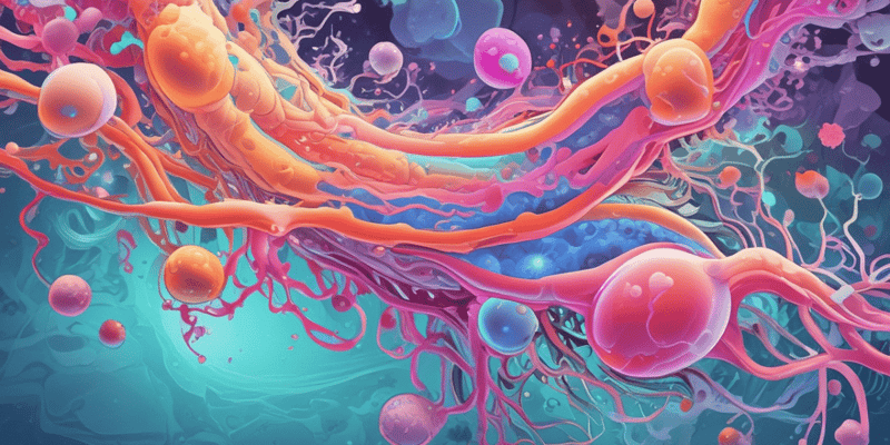 Medicinsk mikrobiologi: Anaerobe Gram-positive bakterier
