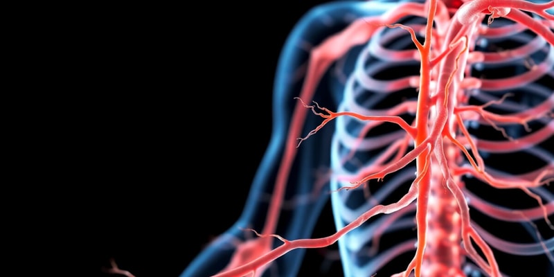 Somatic Nervous System and NMJ