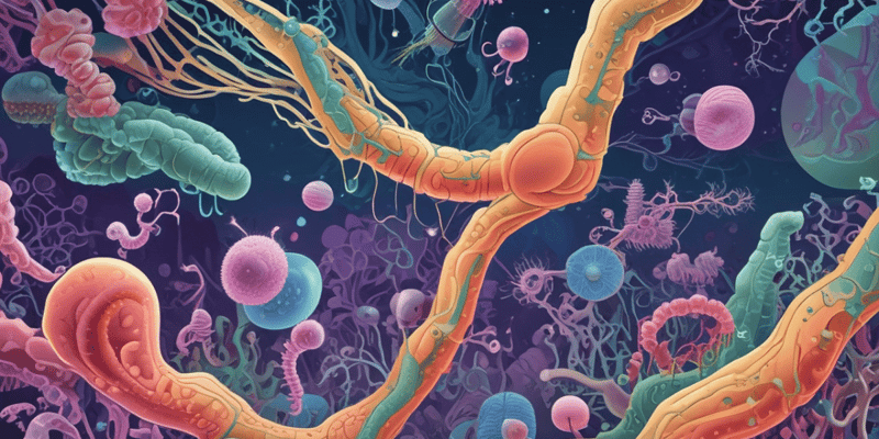 Colera y Campylobacter: Inmunoanálisis y Tratamiento
