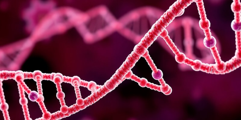 DNA Replication Quiz for Biology Class 10