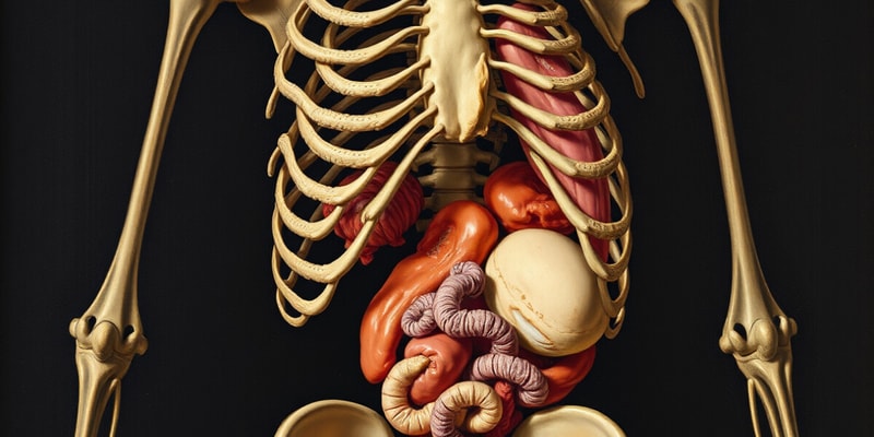 Biology Chapter 6 Organ Characteristics Quiz