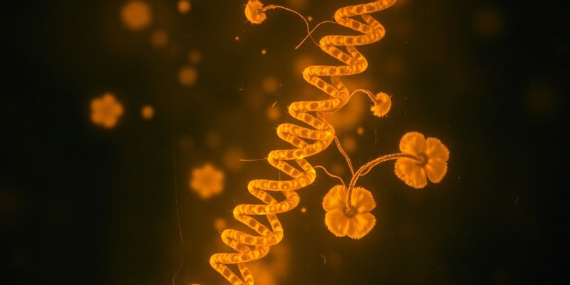 Prokaryotic Gene Regulation and the Lac Operon