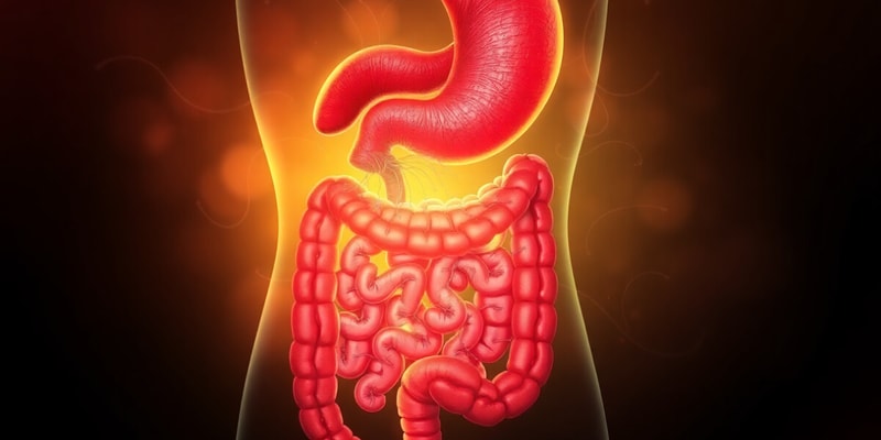 Week 1: Digestive System Overview