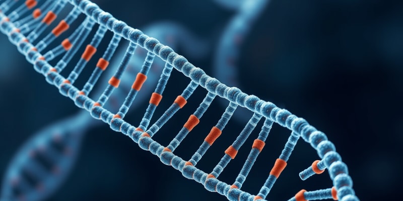 B-DNA Structure and Supercoiling Overview