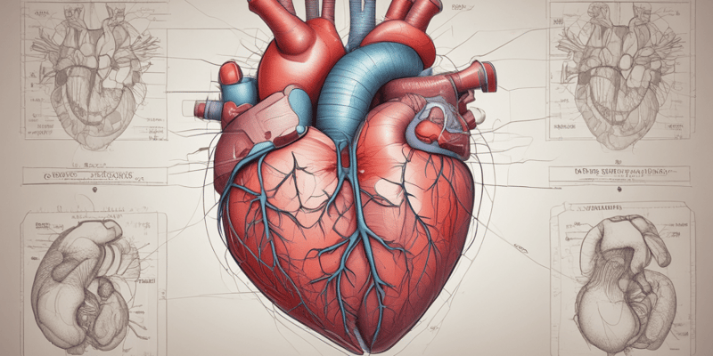 Cardiopatías Congénitas Clase 5: Fisiopatología