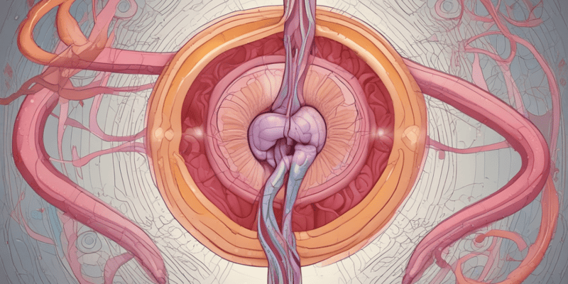 Introduction to the Reproductive System