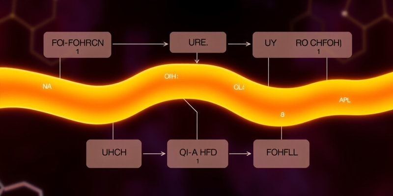 Biochemistry Urea Cycle Quiz