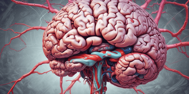 Brain Stem Anatomy Quiz